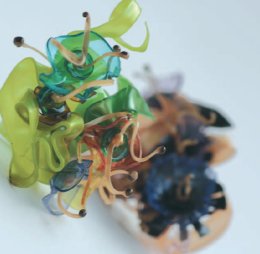 Wanda Romano: Inflorescenze plastiche