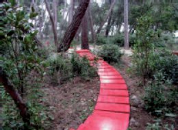 Parco Kamplin, Croazia