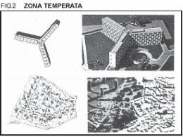 zona temperata